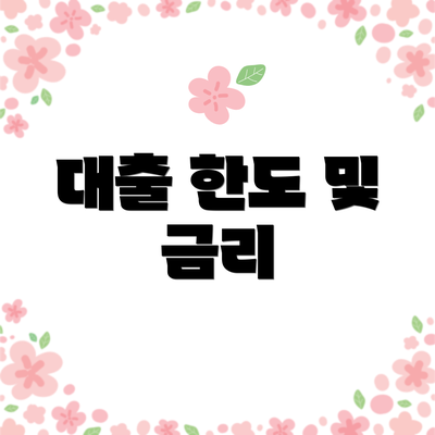 대출 한도 및 금리