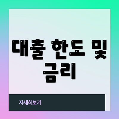 대출 한도 및 금리