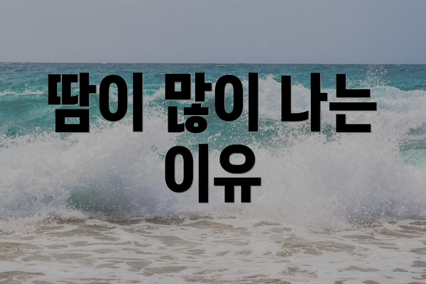 땀이 많이 나는 이유