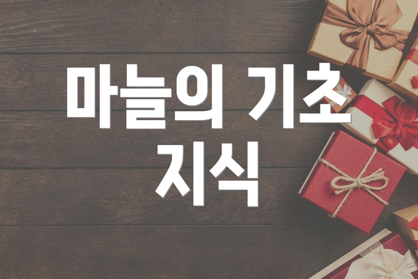 마늘의 기초 지식