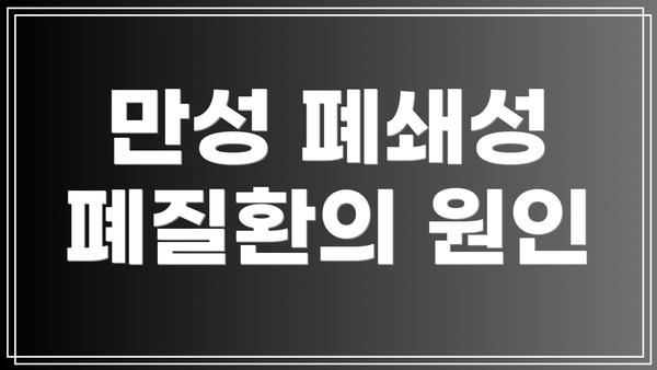 만성 폐쇄성 폐질환의 원인