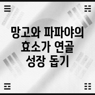 망고와 파파야의 효소가 연골 성장 돕기