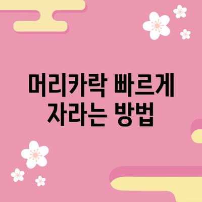 머리카락 빠르게 자라는 방법
