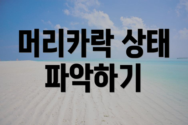 머리카락 상태 파악하기