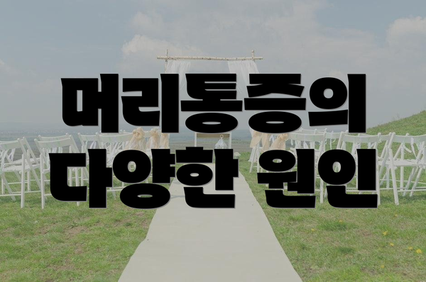 머리통증의 다양한 원인