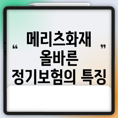 메리츠화재 올바른 정기보험의 특징