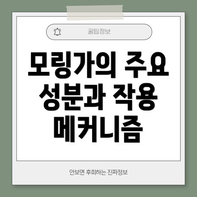 모링가의 주요 성분과 작용 메커니즘