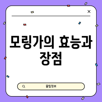 모링가의 효능과 장점