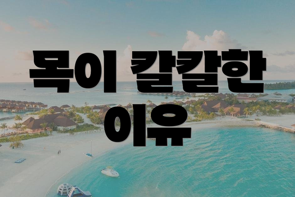 목이 칼칼한 이유