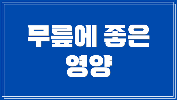 무릎에 좋은 영양