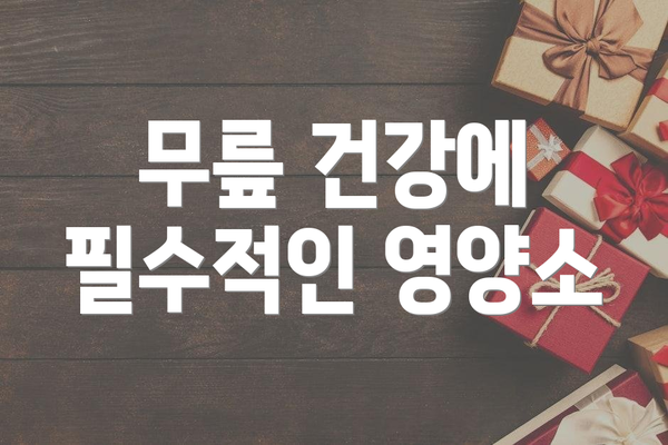 무릎 건강에 필수적인 영양소