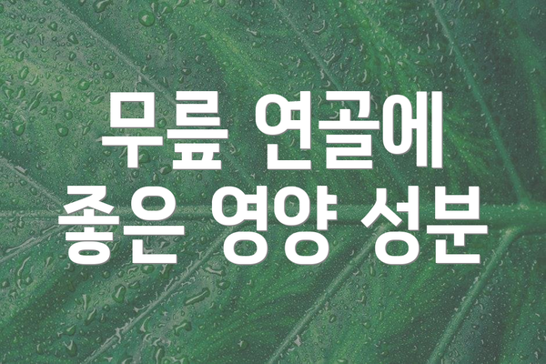 무릎 연골에 좋은 영양 성분