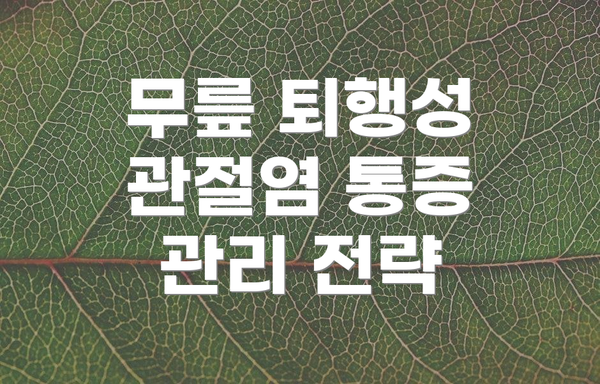 무릎 퇴행성 관절염 통증 관리 전략