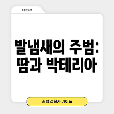 발냄새의 주범: 땀과 박테리아
