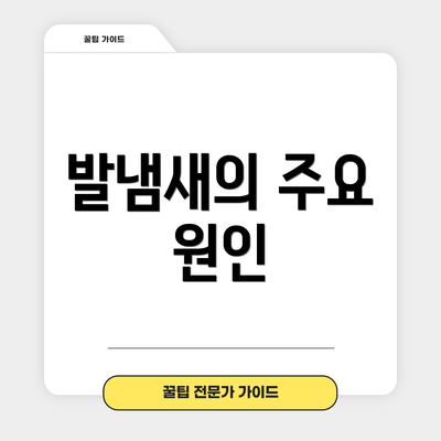 발냄새의 주요 원인