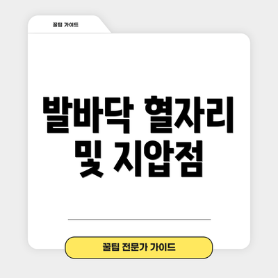 발바닥 혈자리 및 지압점
