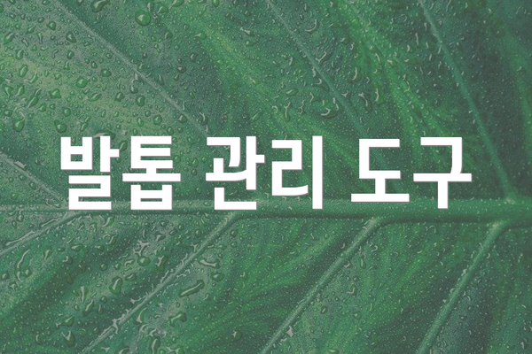 발톱 관리 도구