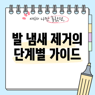 발 냄새 제거의 단계별 가이드