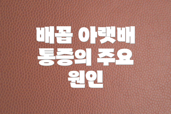 배꼽 아랫배 통증의 주요 원인