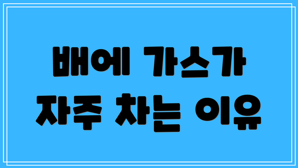 배에 가스가 자주 차는 이유