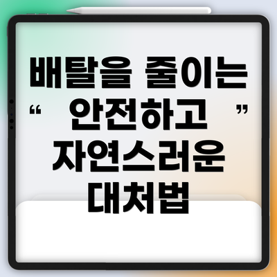 배탈을 줄이는 안전하고 자연스러운 대처법