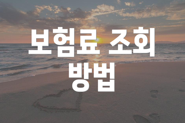 보험료 조회 방법