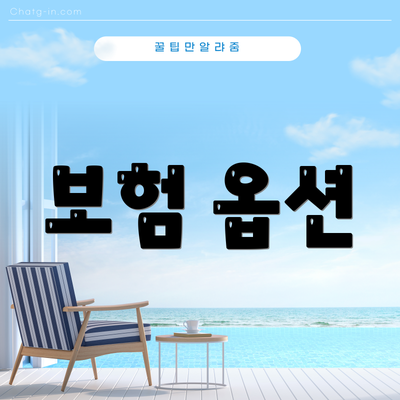 보험 옵션