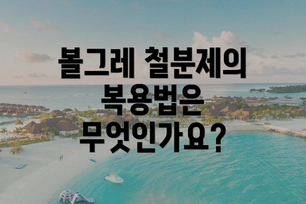 볼그레 철분제의 복용법은 무엇인가요?