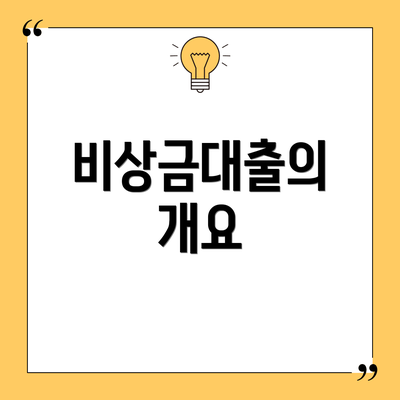 비상금대출의 개요