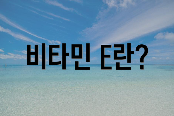 비타민 E란?