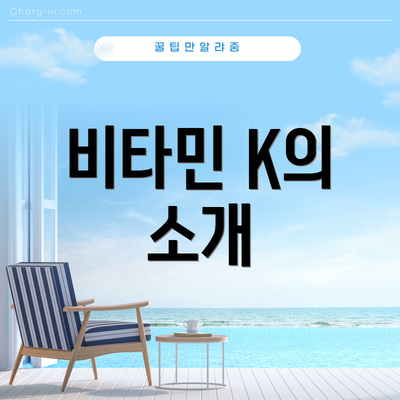 비타민 K의 소개