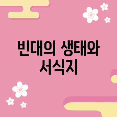 빈대의 생태와 서식지
