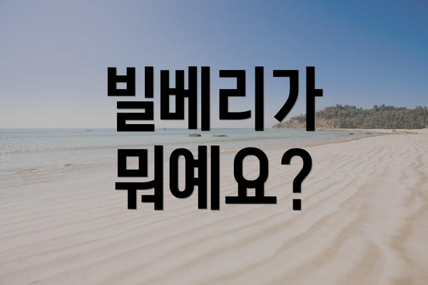빌베리가 뭐예요?