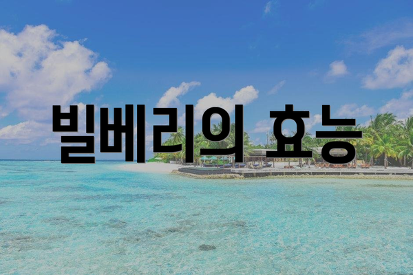 빌베리의 효능