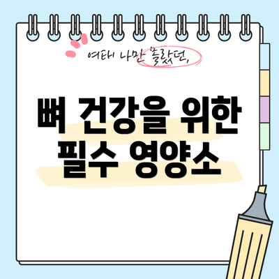 뼈 건강을 위한 필수 영양소