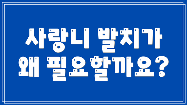 사랑니 발치가 왜 필요할까요?