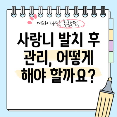 사랑니 발치 후 관리, 어떻게 해야 할까요?