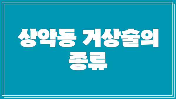 상악동 거상술의 종류