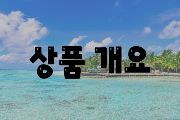 상품 개요