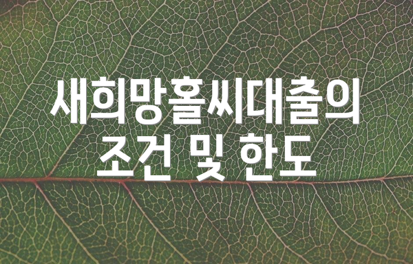 새희망홀씨대출의 조건 및 한도