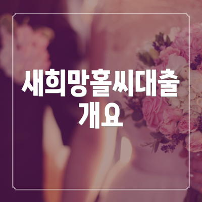 새희망홀씨대출 개요