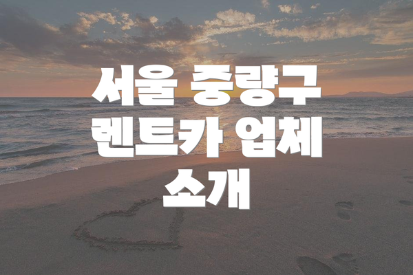 서울 중량구 렌트카 업체 소개