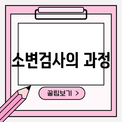 소변검사의 과정