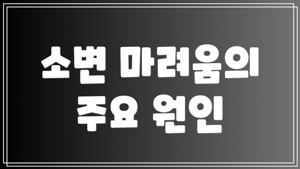 소변 마려움의 주요 원인