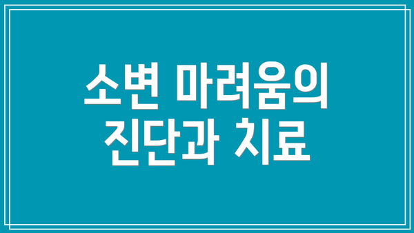 소변 마려움의 진단과 치료