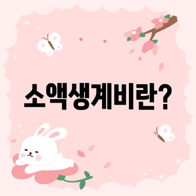 소액생계비란?
