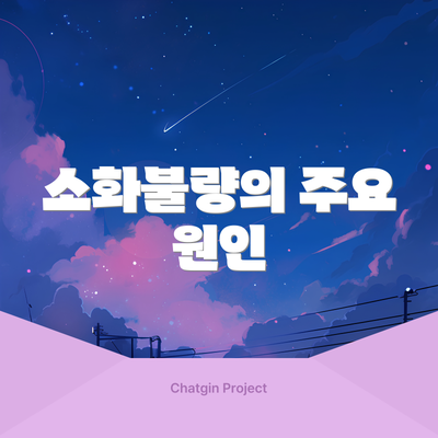 소화불량의 주요 원인