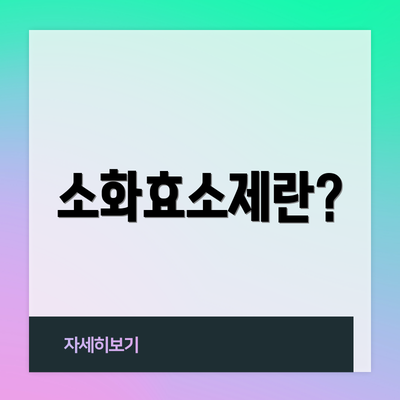 소화효소제란?