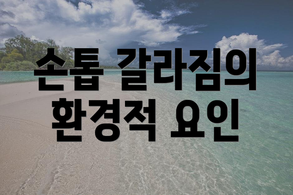 손톱 갈라짐의 환경적 요인