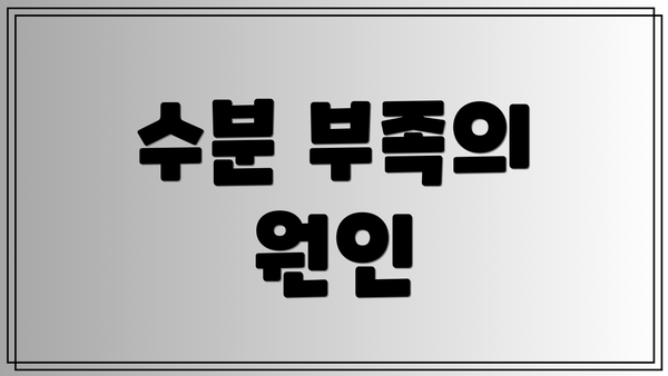 수분 부족의 원인